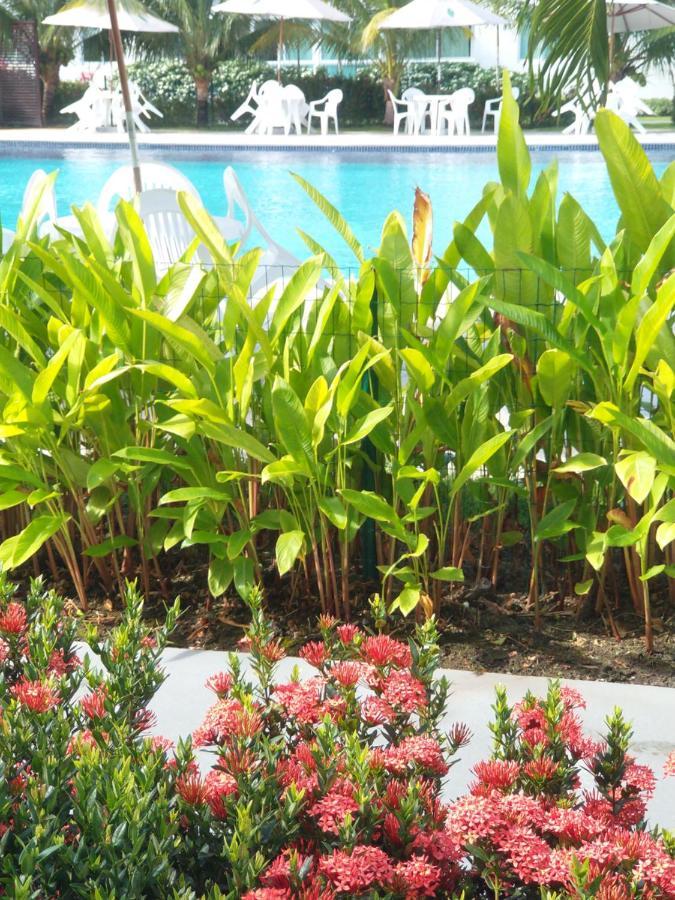 Palm Village Acqua - Apartamento Premium - Em Frente A Piscina - Pôrto das Galinhas Exteriör bild